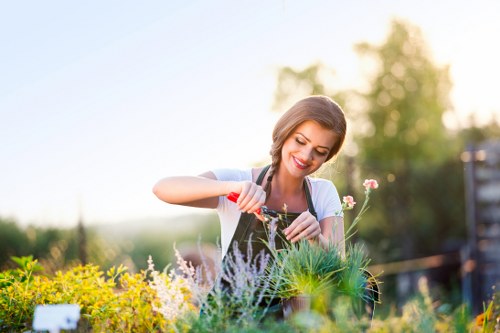 Eco-friendly hedge maintenance practices