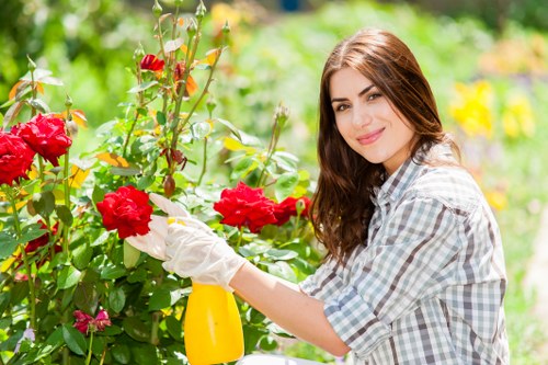 Seasonal garden care activities in Peckham