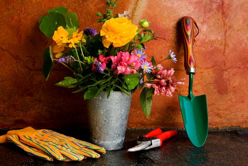 Pruning overgrown plants during garden clearance