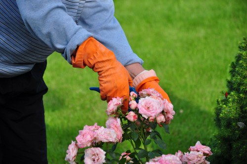Eco-friendly lawn mowing practices