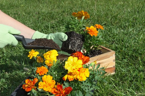 Professional garden maintenance services in Peckham