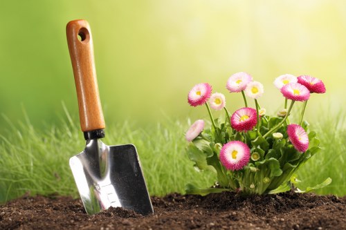 DIY lawn mowing tools and equipment